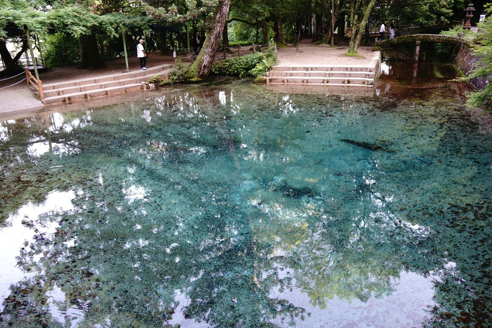 💧 벳푸 벤텐 연못 (벳푸벤텐이케)